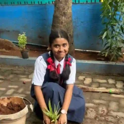 World Environment Day 2025