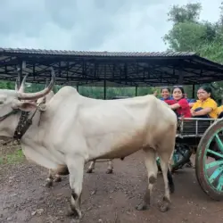Educational Field Trip to Saguna Baug 2026